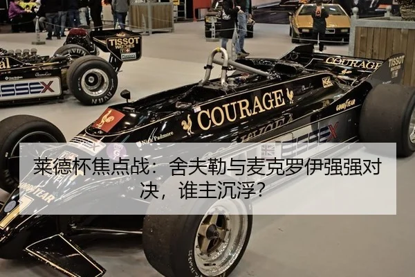 莱德杯焦点战：舍夫勒与麦克罗伊强强对决，谁主沉浮？